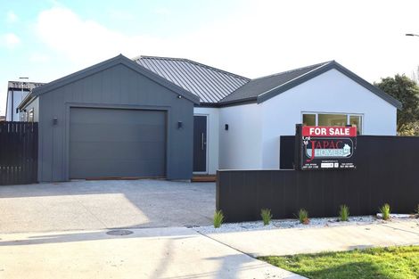 Photo of property in 2 Samuel Place, Terrace End, Palmerston North, 4410