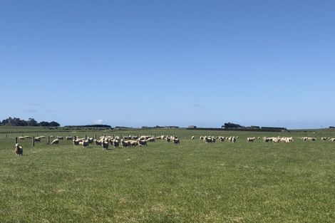 Photo of property in 166 Brand Road, Kennington, Invercargill, 9871