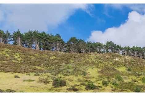 Photo of property in 156 Maunsell Road, Port Waikato, Tuakau, 2695