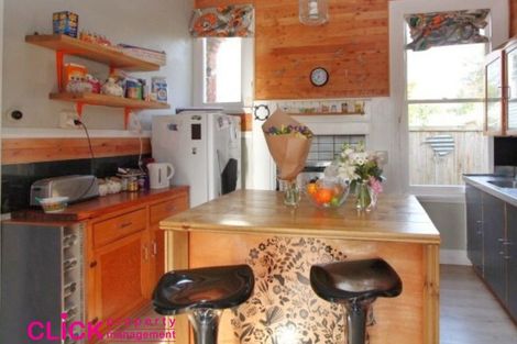 Photo of property in 48 Brown Street, Dunedin Central, Dunedin, 9016