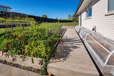 Photo of property in 6 Harper Way, Minden, Tauranga, 3179