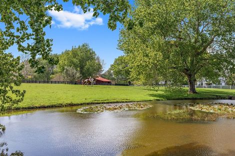 Photo of property in 84 Kaipara Flats Road, Dome Forest, Warkworth, 0981