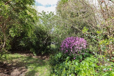 Photo of property in 20 Hikutaia Street, Te Aroha, 3320