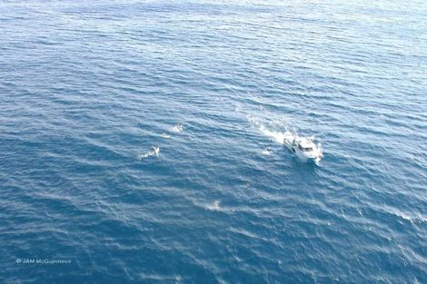 Photo of property in 1 Nunu Drive, Flat Point, Masterton, 5883