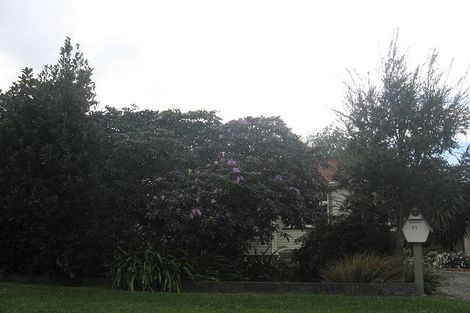 Photo of property in 11 Weld Street, Blenheim, 7201