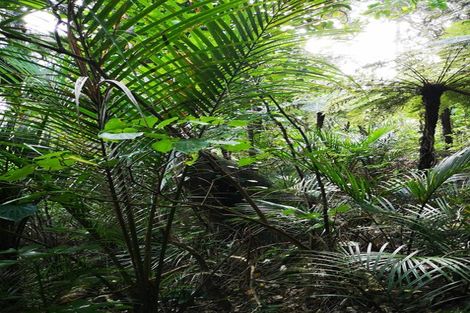 Photo of property in 26 Pacific Bay Road, Tutukaka, Whangarei, 0173