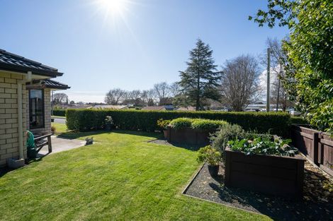 Photo of property in 62 Raleigh Street, Leamington, Cambridge, 3432