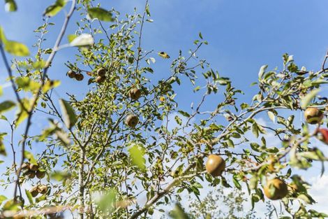 Photo of property in 6388a South Road, Pungarehu, 4685