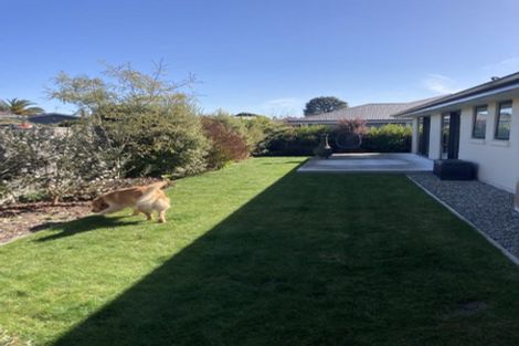 Photo of property in 12 Thomas Way, Brightwater, 7022