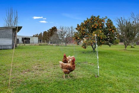 Photo of property in 27 Waioeka Road, Opotiki, 3122