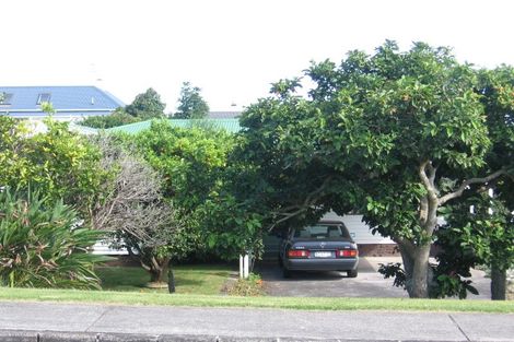 Photo of property in 8 Norrie Avenue, Mount Albert, Auckland, 1025
