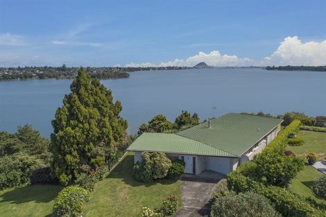 Photo of property in 43 Vine Avenue, Maungatapu, Tauranga, 3112