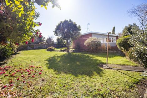 Photo of property in 12 Trewin Street, Feilding, 4702
