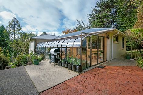 Photo of property in 33 Ettrick Street, Glenross, Dunedin, 9011