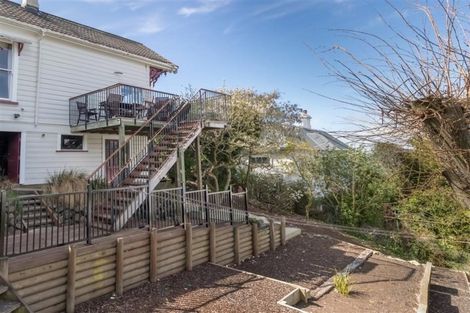 Photo of property in 22 Selkirk Street, Roslyn, Dunedin, 9010