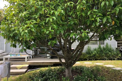 Photo of property in 561a New North Road, Kingsland, Auckland, 1021