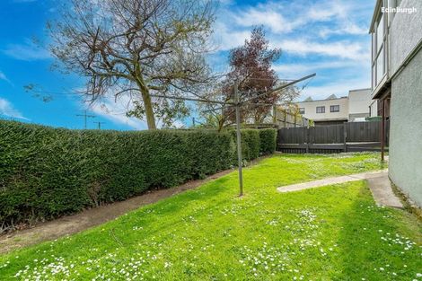 Photo of property in 163 Eglinton Road, Mornington, Dunedin, 9011