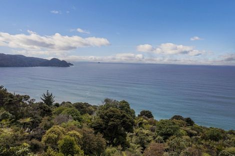 Photo of property in 123 Pumpkin Hill Road, Pumpkin Hill, Whitianga, 3591