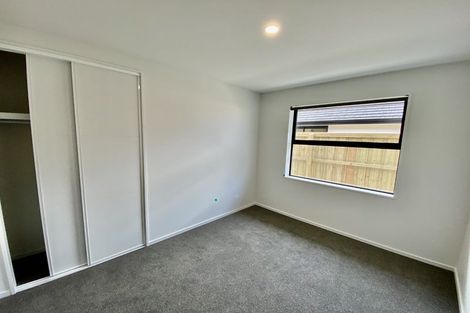 Photo of property in 65 Nethercote Way, Rolleston, 7614