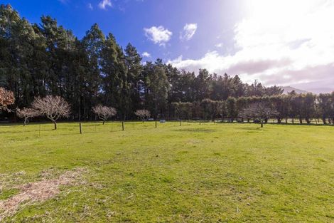 Photo of property in 52 Rarangi, Rarangi, Blenheim, 7273