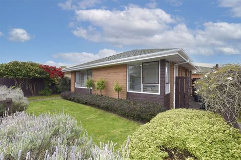 Photo of property in 1/26 Trafalgar Street, St Albans, Christchurch, 8014