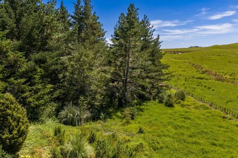 Photo of property in 236 Prictor Road, Wellsford, 0972