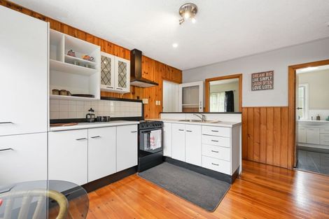 Photo of property in 158 Rimu Street, Maeroa, Hamilton, 3200