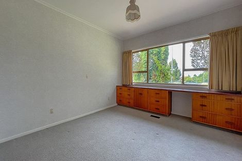 Photo of property in 20 Prospect Street, Putaruru, 3411