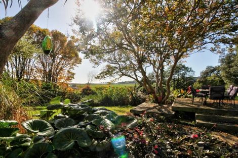 Photo of property in 95a Looney Road, Waiotahe, Opotiki, 3198