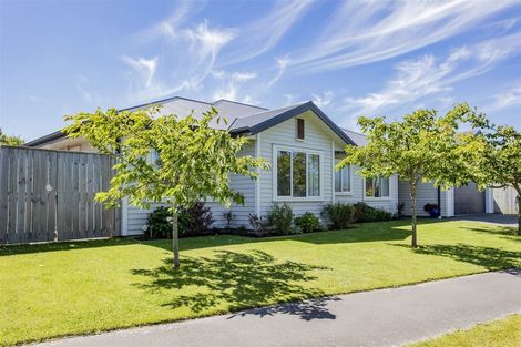 Photo of property in 41 Euphrasie Drive, Aidanfield, Christchurch, 8025