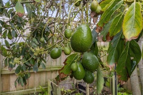 Photo of property in 103 Atkinson Avenue, Otaki Beach, Otaki, 5512