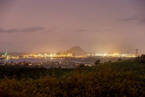 Photo of property in 345 Waitaha Road South, Welcome Bay, Tauranga, 3175