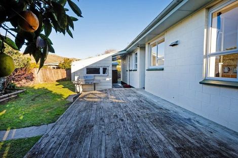 Photo of property in 22 Alana Place, Witherlea, Blenheim, 7201