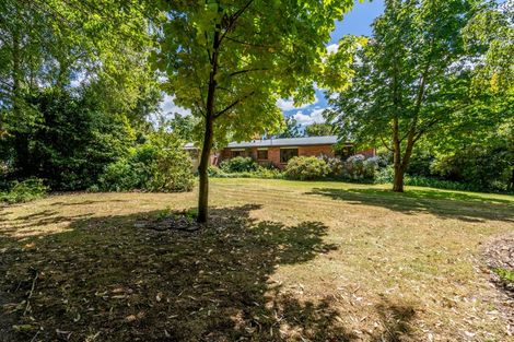 Photo of property in 297 Thornbury Waimatuku Road, Flints Bush, Riverton, 9883