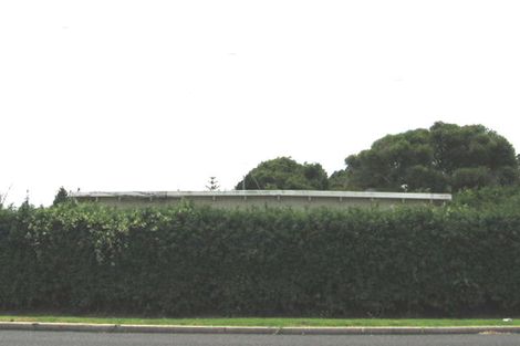 Photo of property in 31 Riversdale Road, Avondale, Auckland, 1026