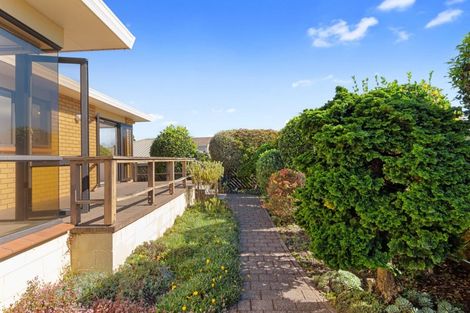 Photo of property in 6b Camellia Place, Greerton, Tauranga, 3112