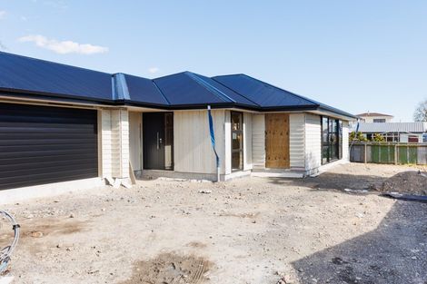 Photo of property in 38b Kingston Street, Awapuni, Palmerston North, 4412