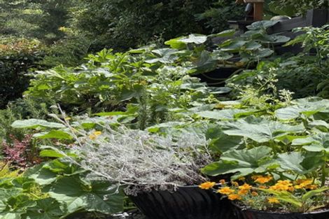 Photo of property in 60 Woodleigh Place, Ohauiti, Tauranga, 3112