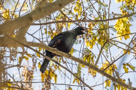 Photo of property in 1735 Queen Charlotte Drive, Linkwater, Picton, 7281