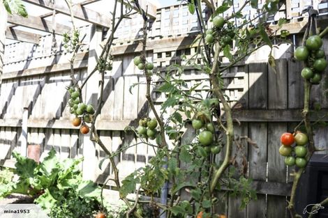 Photo of property in 24 Richmond Street, Petone, Lower Hutt, 5012