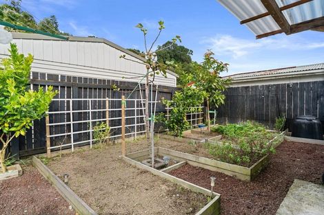 Photo of property in 113 Douglas Street, Whakatane, 3120