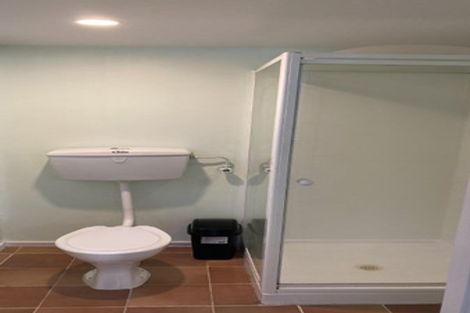 Photo of property in 99 Eglinton Road, Mornington, Dunedin, 9011