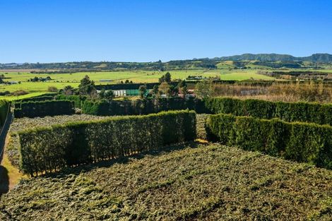 Photo of property in 31 Clark Cross Road, Otara, Opotiki, 3197