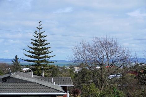 Photo of property in 301 The Terrace, Thames, 3500