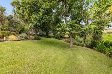 Photo of property in 5 Greenstone Way, Hairini, Tauranga, 3112