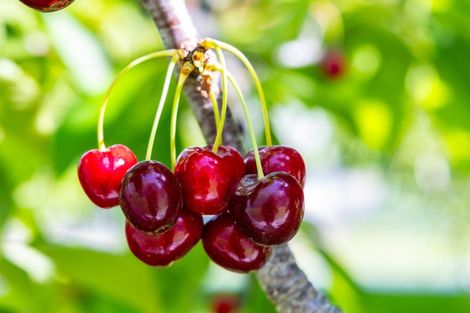 Photo of property in 92 Pauls Road, Rapaura, Blenheim, 7273