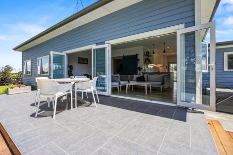 Photo of property in 169 Koromatua Road, Temple View, Hamilton, 3290