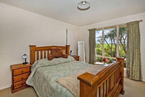 Photo of property in 380 Springfield Road, Springfield, Whangarei, 0178