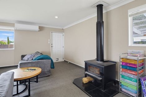 Photo of property in 105 Oxford Street, Ashhurst, 4810