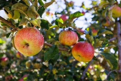 Photo of property in 179 Leedstown Road, Hunterville, Marton, 4787